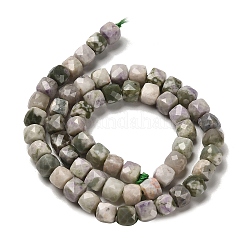 Natural Peace Jade Beads Strands&nbsp;G-H078-C10-01