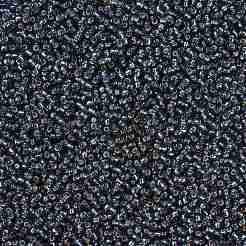 MIYUKI Round Rocailles Beads&nbsp;X-SEED-G008-RR2426