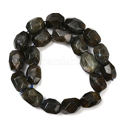 Natural Labradorite Beads Strands&nbsp;G-F796-C10-01