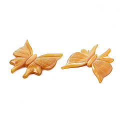 Natural Yellow Shell Beads&nbsp;SSHEL-S258-106