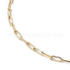 304 Stainless Steel Oval Link Chains Anklets for Women&nbsp;AJEW-AN00623