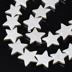 Natural Freshwater Shell Beads Strands&nbsp;SHEL-S278-043