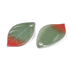 Plastic Pendants&nbsp;KY-N015-042