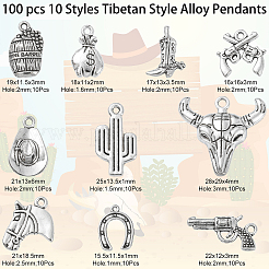 100 pcs 10 Style Tibetan Style Alloy Pendants&nbsp;TIBEP-CJ0001-32