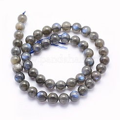 Natural Labradorite Beads Strands&nbsp;G-O166-08-8mm