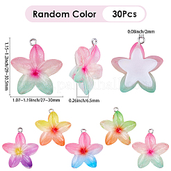 30Pcs Resin Pendants&nbsp;RESI-BM0001-06B