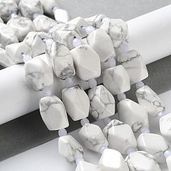 Natural Howlite Beads Strands&nbsp;G-C182-23-01
