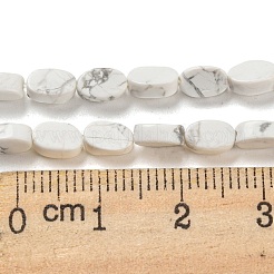 Natural Howlite Beads Strands&nbsp;G-M420-H14-03