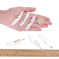 Electroplate Freshwater Shell Big Pendants&nbsp;SHEL-T012-01