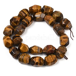 Natural Tiger Eye Beads Strands&nbsp;G-Z147-E05-01