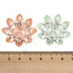 Transparent Acrylic Beads&nbsp;OACR-H118-02
