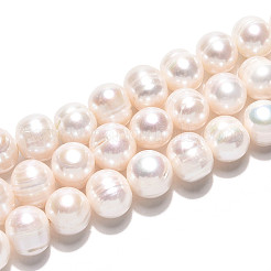 Natural Cultured Freshwater Pearl Beads Strands&nbsp;PEAR-N013-10G