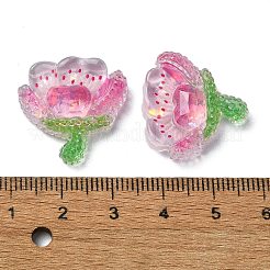 Transparent Epoxy Resin Decoden Cabochons&nbsp;X1-CRES-I030-16B