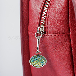 6Pcs Stainless Steel with Acrylic Pendant Zipper Pulls&nbsp;HJEW-LP00011