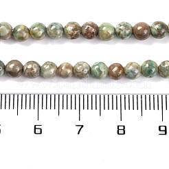 Natural Maifanite/Maifan Stone Beads Strands&nbsp;G-P451-01C-E