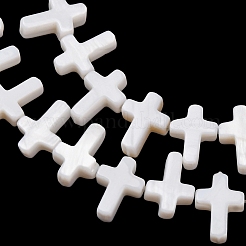 Natural Freshwater Shell Beads Strands&nbsp;SH-CBA2978-14