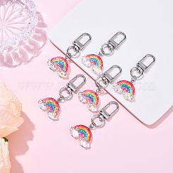 6Pcs Resin Pendant Decorations&nbsp;KEYC-YW00210