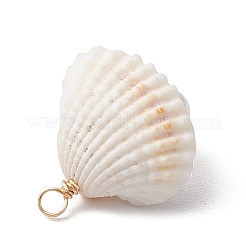 Natural Clam Shell Pendants&nbsp;PALLOY-JF03551