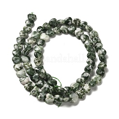 Natural Green Spot Jasper Beads Strands&nbsp;G-P575-C16-6mm