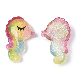 Resin Cabochons&nbsp;CRES-R430-06