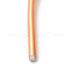 Round Anodized Aluminum Wire&nbsp;AW-S001-3.0mm-04
