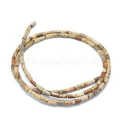 Natural Picture Jasper Beads Strands&nbsp;G-F631-B10