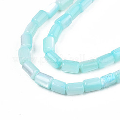 Natural Trochid Shell/Trochus Shell Beads Strands&nbsp;SHEL-N003-26-B09