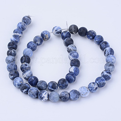 Natural Sodalite Beads Strands&nbsp;X-G-Q462-8mm-07