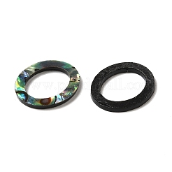 Natural Abalone Shell/Paua Shell Cabochons&nbsp;SHEL-K006-13B