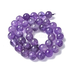Natural Amethyst Beads Strands&nbsp;G-R446-10mm-21-A