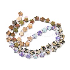 4 Styles Synthetic Imperial Jasper & Natural Picture Jasper & Unakite & Dalmatian Jasper Beads Strands&nbsp;G-D095-A04