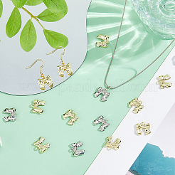 40Pcs 2 Colors Alloy Pendants&nbsp;FIND-DC0007-31