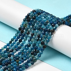 Natural Agate Beads Strands&nbsp;X-G-H302-A01-02
