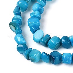 Natural Freshwater Shell Beads Strands&nbsp;SHEL-N037-04I