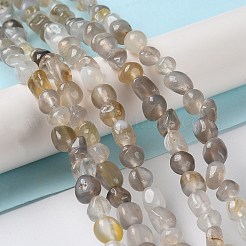 Natural Agate Beads Strands&nbsp;G-D081-A04