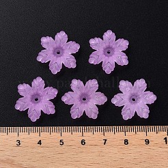 Transparent Acrylic Beads&nbsp;MACR-S373-117-D04