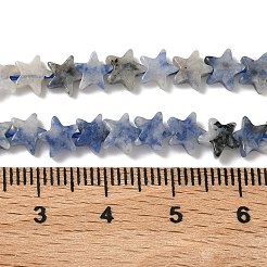 Natural Blue Spot Jasper Beads Strands&nbsp;G-F817-A12-01