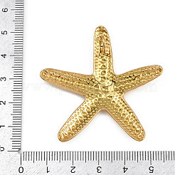 Ocean 304 Stainless Steel Pendants&nbsp;STAS-D377-02C-G