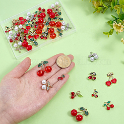 40Pcs 10 Styles Alloy Red Enamel & Alloy Rhinestone Pendants&nbsp;FIND-PH0060-34