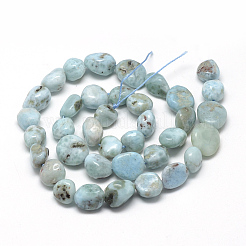 Natural Larimar Beads Strands&nbsp;X-G-R445-8x10-15