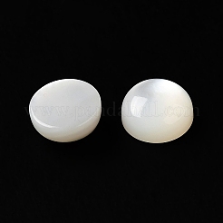 Natural White Shell Cabochons&nbsp;SSHEL-M022-01B