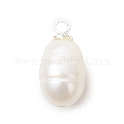 Natural Cultured Freshwater Pearl Pendants&nbsp;PALLOY-JF05170-01