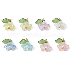 10 Sets Acrylic Charms&nbsp;FIND-SC0016-67