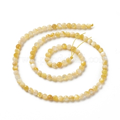 Natural Golden Yellow Shell Beads Strands&nbsp;SSHEL-G029-01A