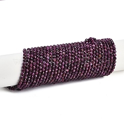 Natural Ruby Beads Strands&nbsp;G-P553-G01-03
