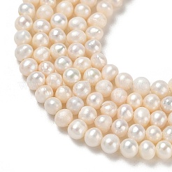 Natural Cultured Freshwater Pearl Beads Strands&nbsp;PA-CBAC463-40