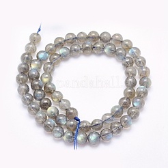 Natural Labradorite Beads Strands&nbsp;G-O166-08-6mm