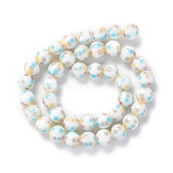 Handmade Lampwork Beads Strands&nbsp;LAMP-D015-11C