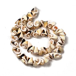 Natural Sea Shell Beads Strands&nbsp;BSHE-E026-14