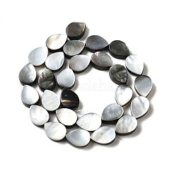Natural Black Lip Shell Beads Strands&nbsp;BSHE-D300-04B